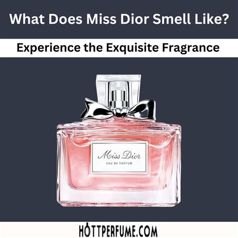 dior smell|miss dior smell like.